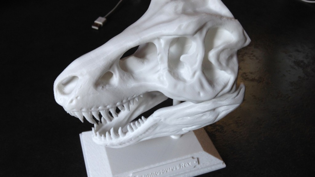 Tête Tyrannosaurus Rex